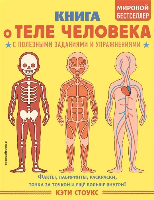 Обложка книги «Книга о теле человека с полезными заданиями и упражнениями»