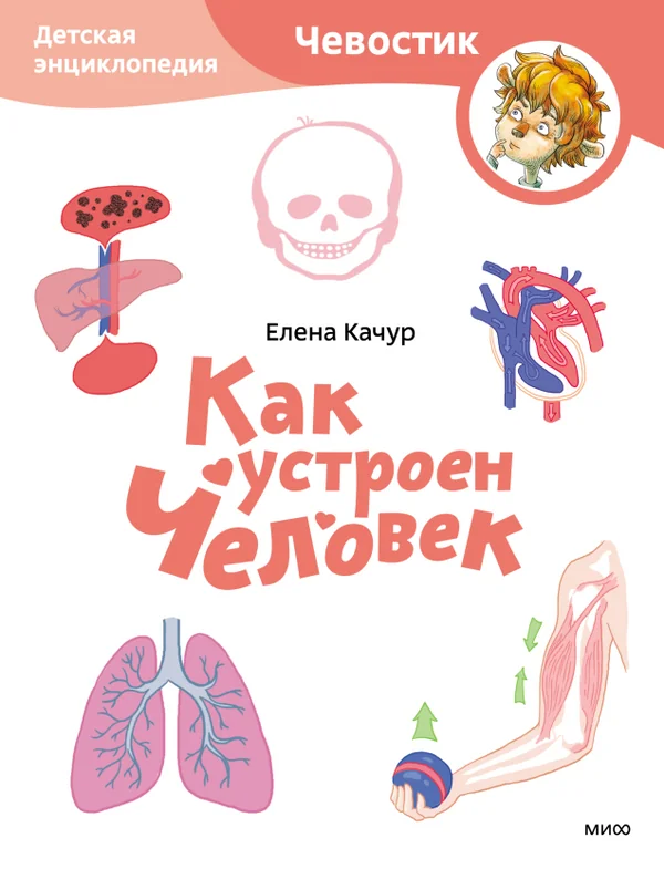 Обложка книги «Как устроен человек»