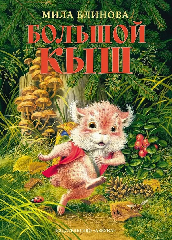 Обложка книги «Большой Кыш»