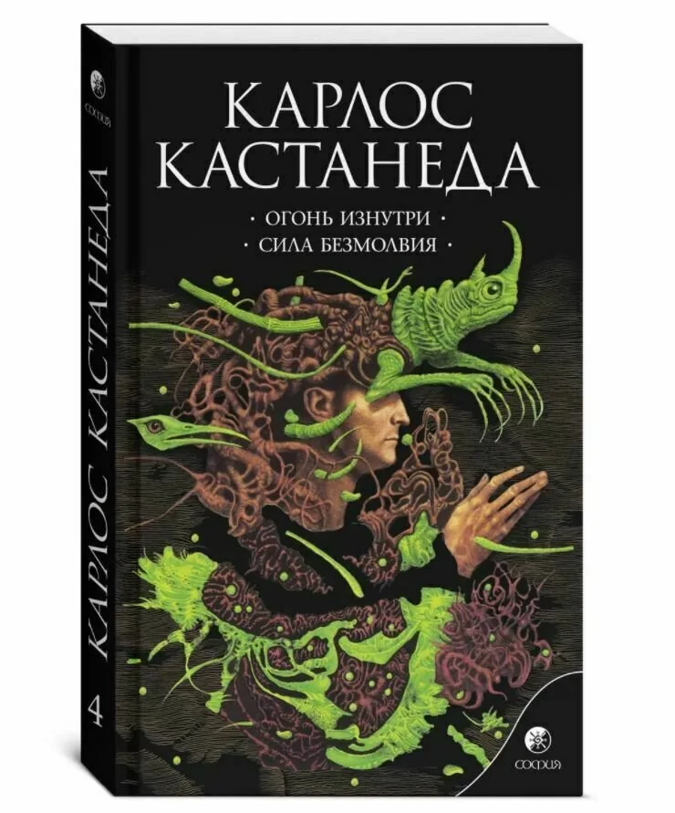 Обложка книги «Огонь изнутри. Сила безмолвия. Том 4»
