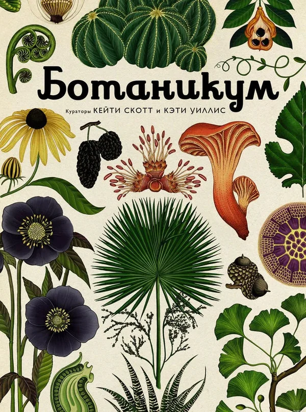 Обложка книги «Ботаникум»