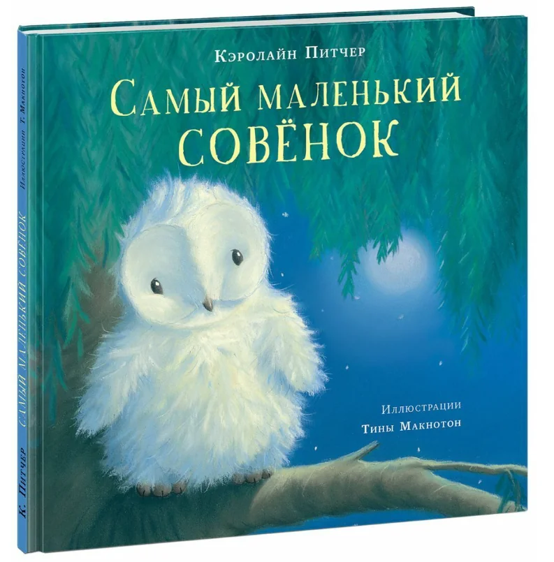 Обложка книги «Самый маленький совёнок»