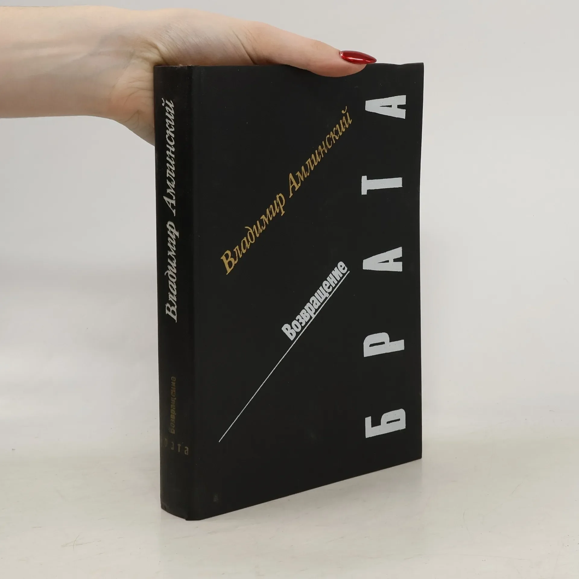 Обложка книги «Возвращение брата»