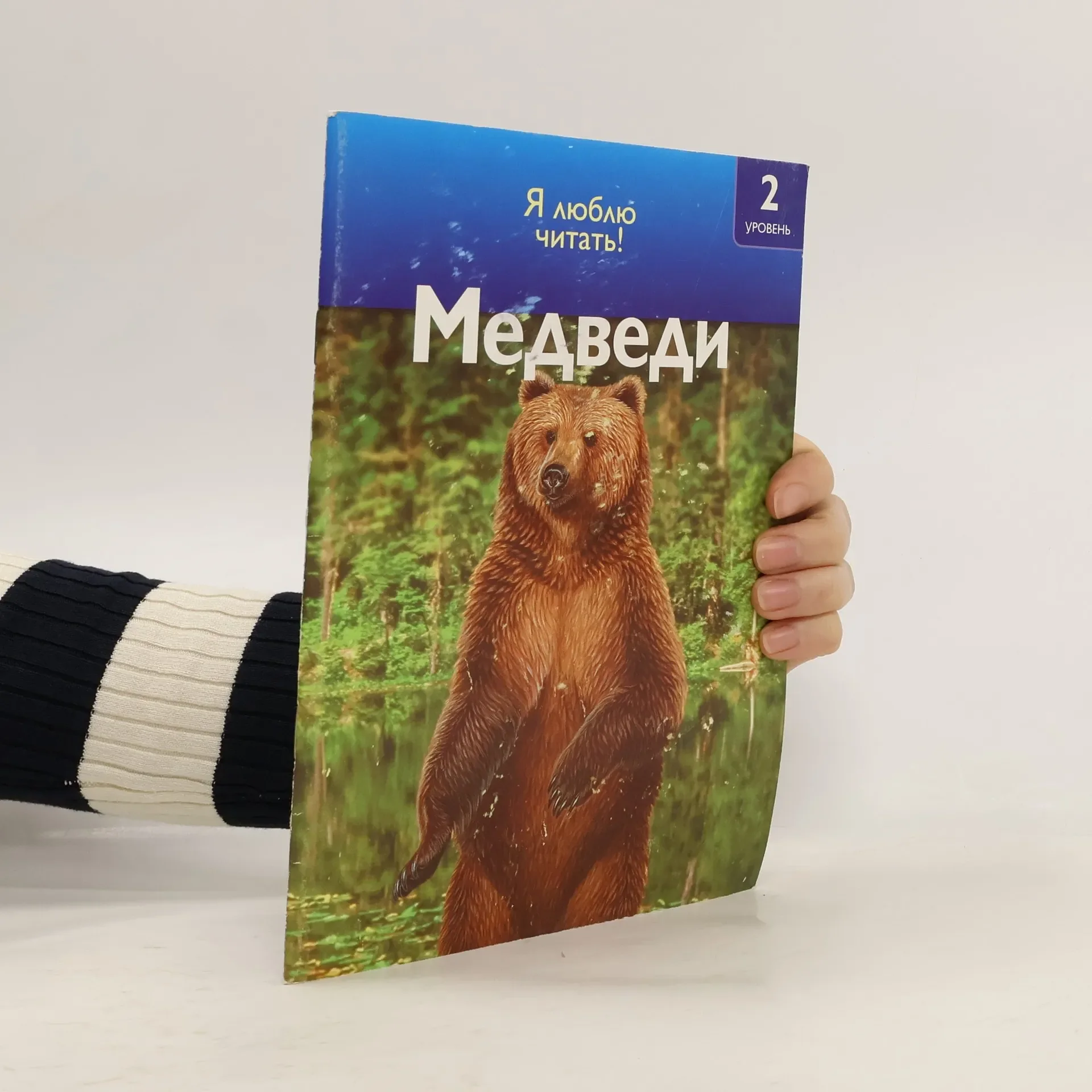 Обложка книги «Медведи»