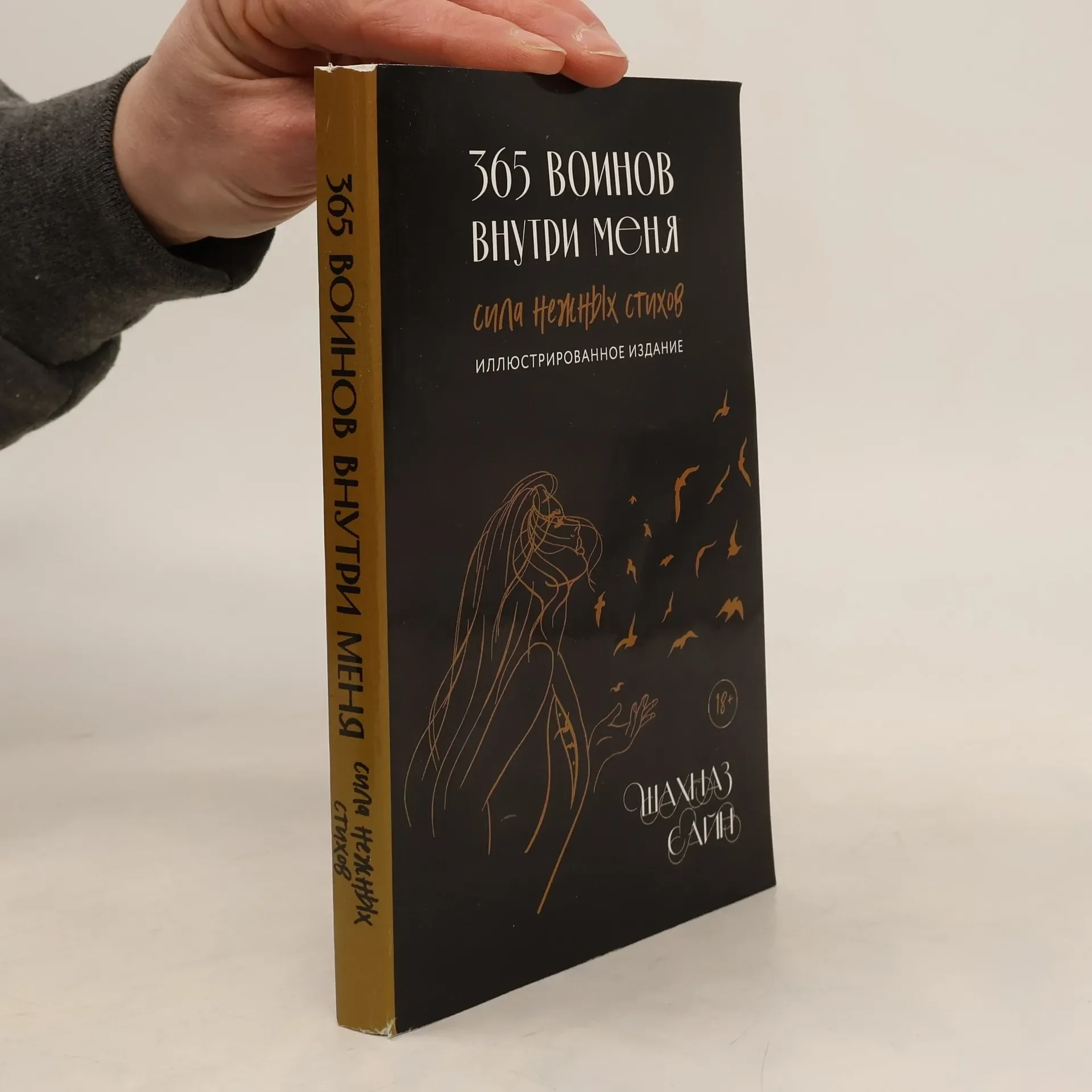 Обложка книги «365 воинов внутри меня. Сила нежных стихов (иллюстрированное подарочное издание с цветным обрезом)»