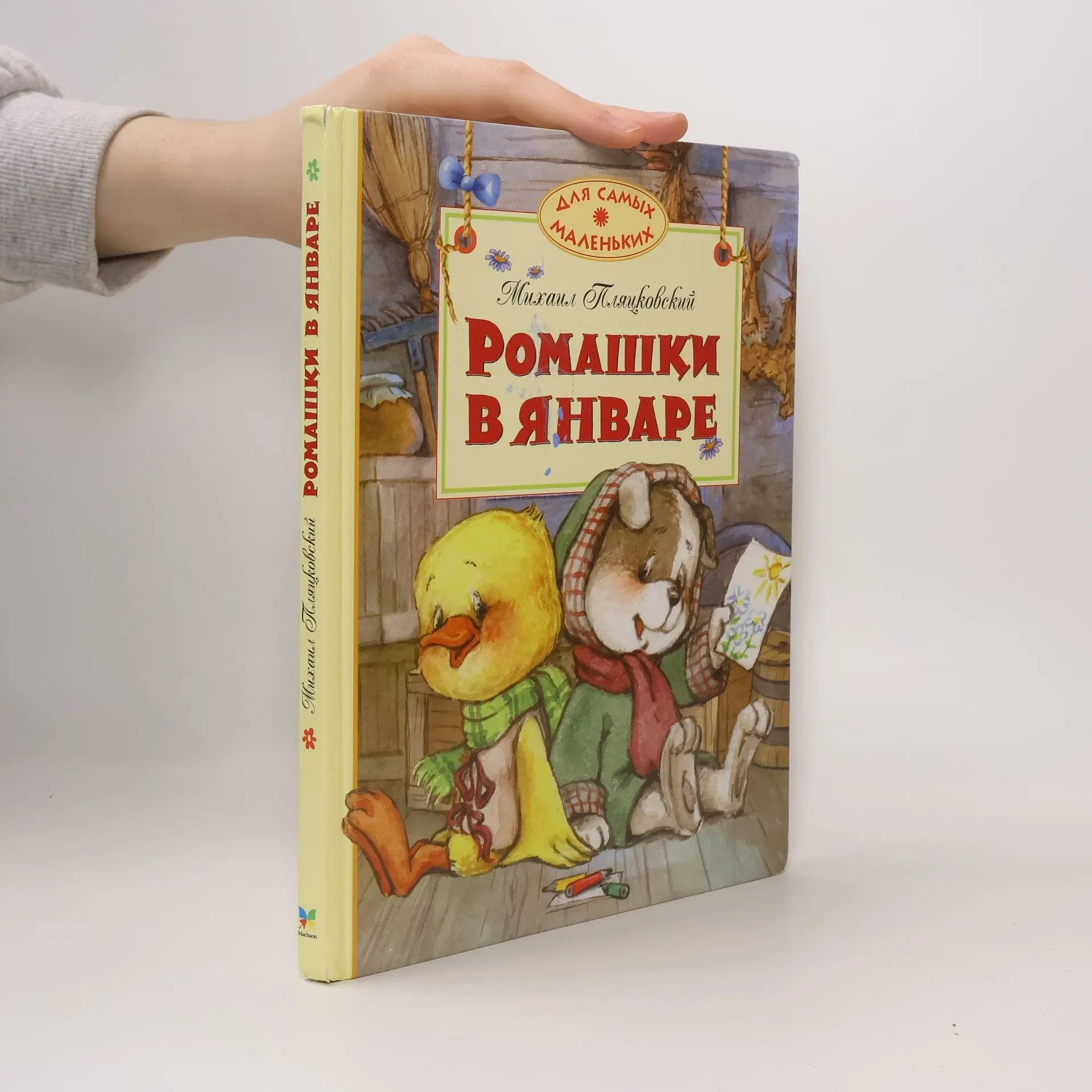 Обложка книги «Ромашки в январе»