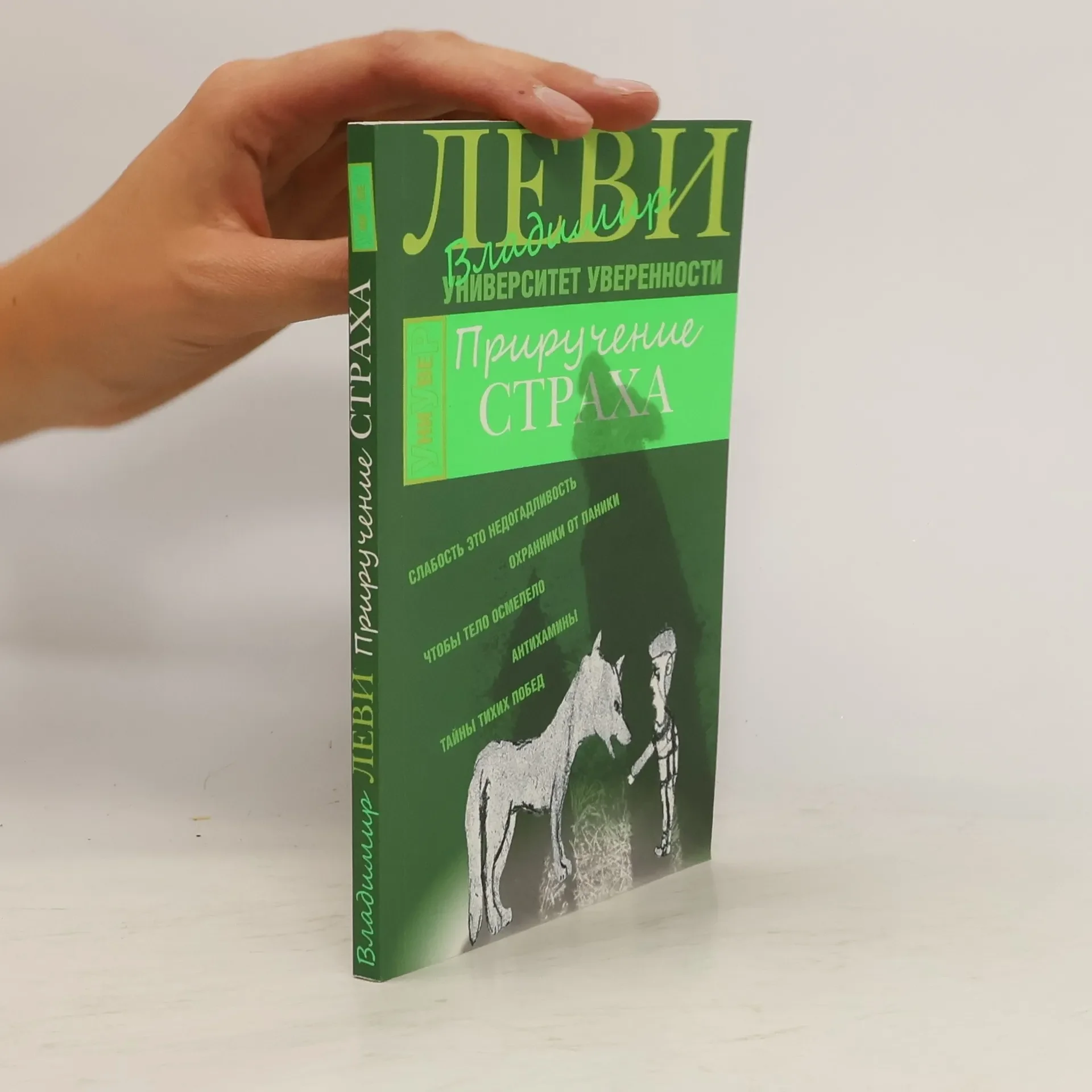 Обложка книги «Приручение страха»