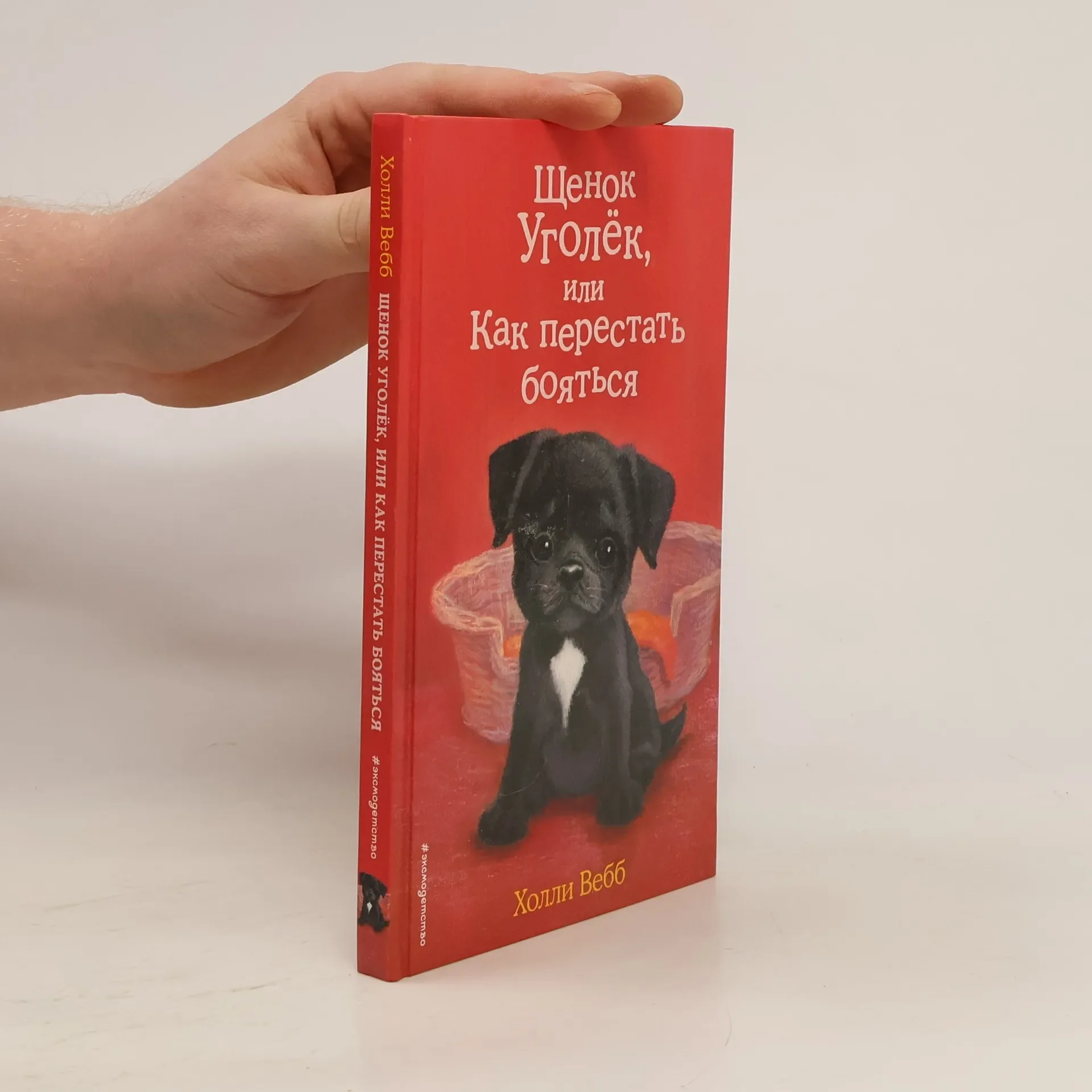 Обложка книги «Щенок Уголёк, или Как перестать бояться»