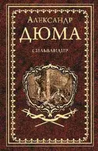Обложка книги «Сильвандир. Сальтеадор»