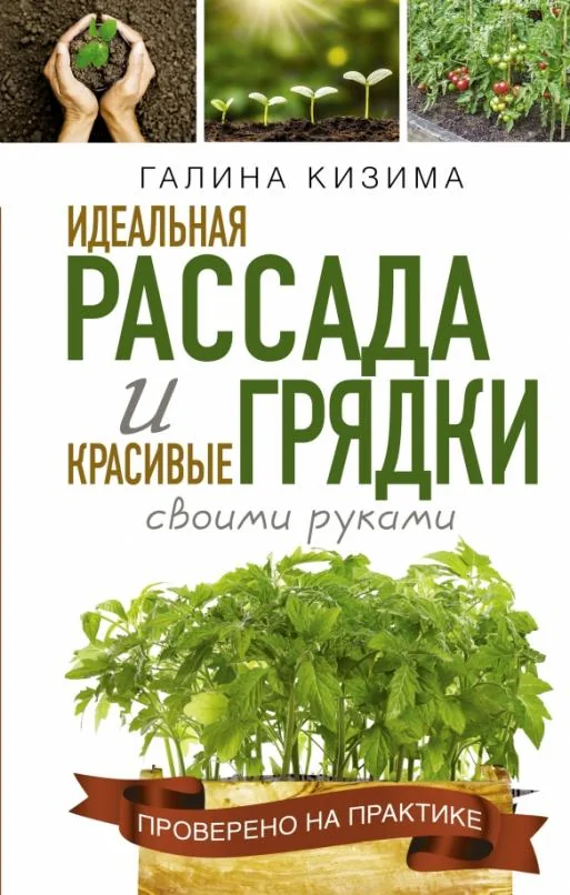 Обложка книги «Идеальная рассада и красивые грядки своими руками»