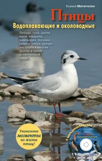 Обложка книги «Птицы. Водоплавающие и околоводные (+ CD-ROM)»
