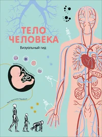 Обложка книги «Тело человека. Визуальный гид»