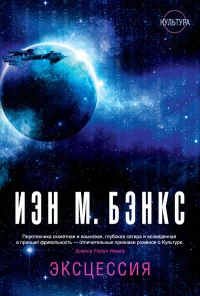 Обложка книги «Эксцессия»