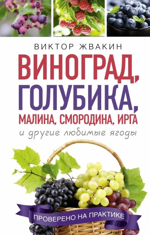 Обложка книги «Виноград, голубика, малина, смородина, ирга и другие любимые ягоды»