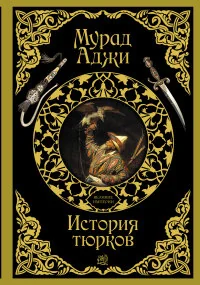 Обложка книги «История тюрков»