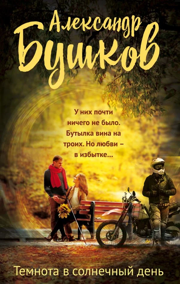 Обложка книги «Темнота в солнечный день»