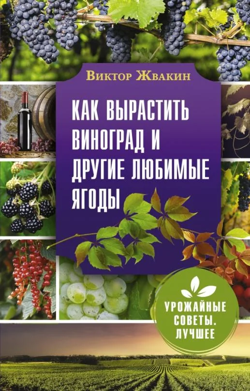 Обложка книги «Как вырастить виноград и другие любимые ягоды. Простые и понятные инструкции для начинающих»