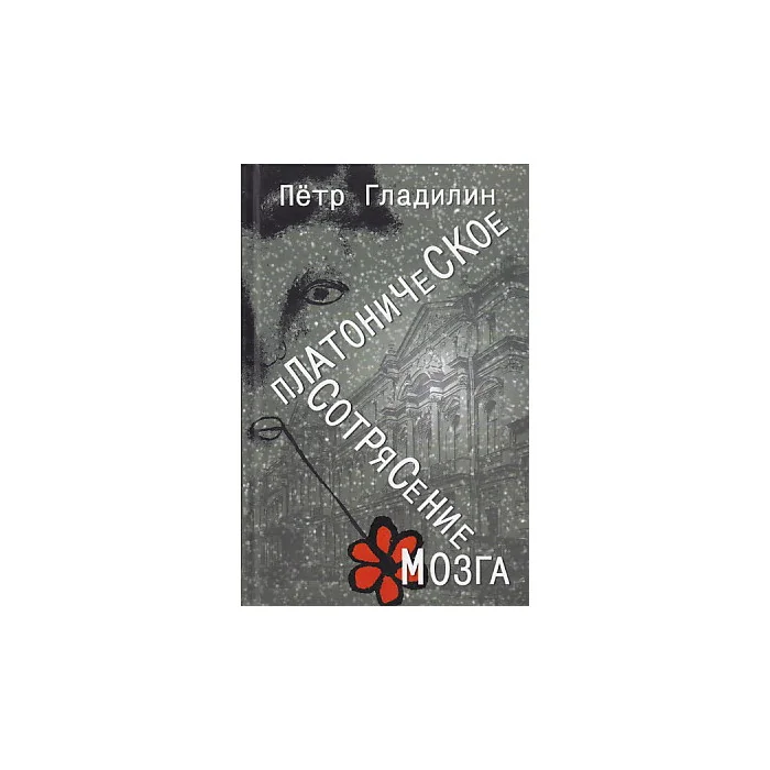 Обложка книги «Платоническое сотрясение мозга»