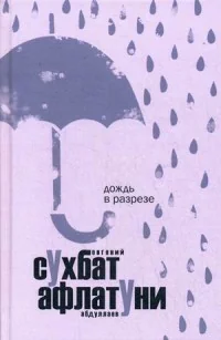 Обложка книги «Дождь в разрезе»