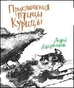 Обложка книги «Приключения птицы Курицы. Сказочная история»