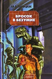 Обложка книги «Бросок в безумие»