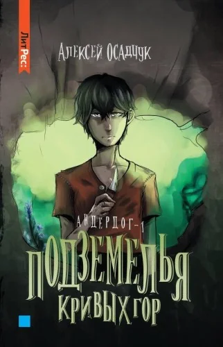 Обложка книги «Подземелья Кривых гор. Андердог-1»