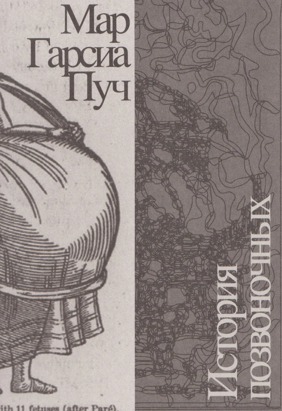 Обложка книги «История позвоночных»