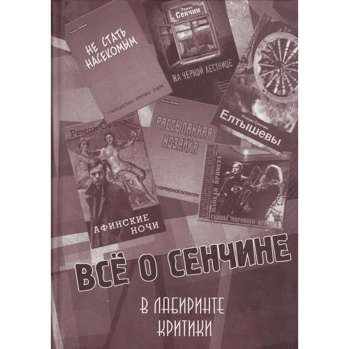 Обложка книги «Все о Сенчине. В лабиринте критики»