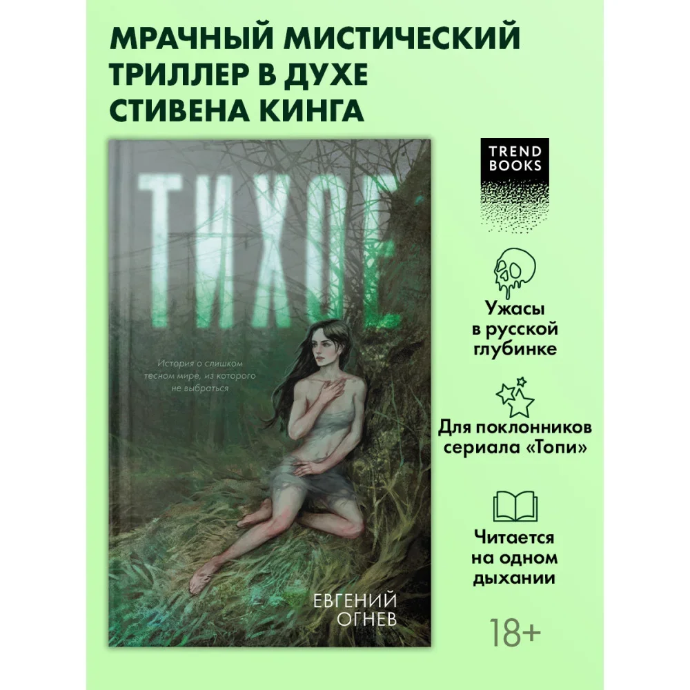 Обложка книги «Тихое»