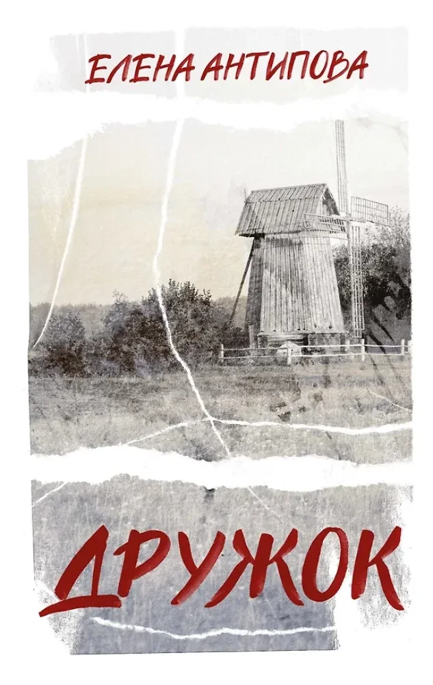 Обложка книги «Дружок»