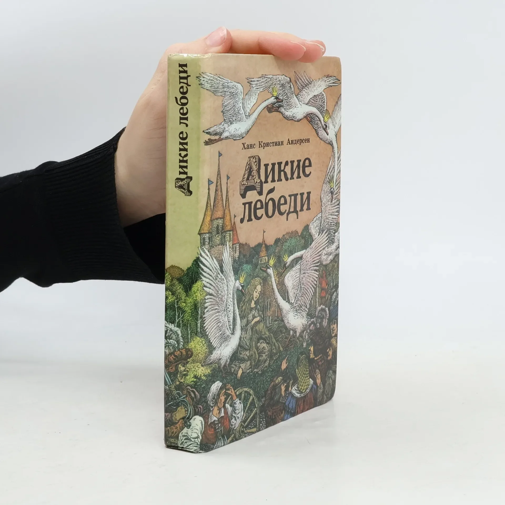 Обложка книги «Дикие лебеди : Сказки»