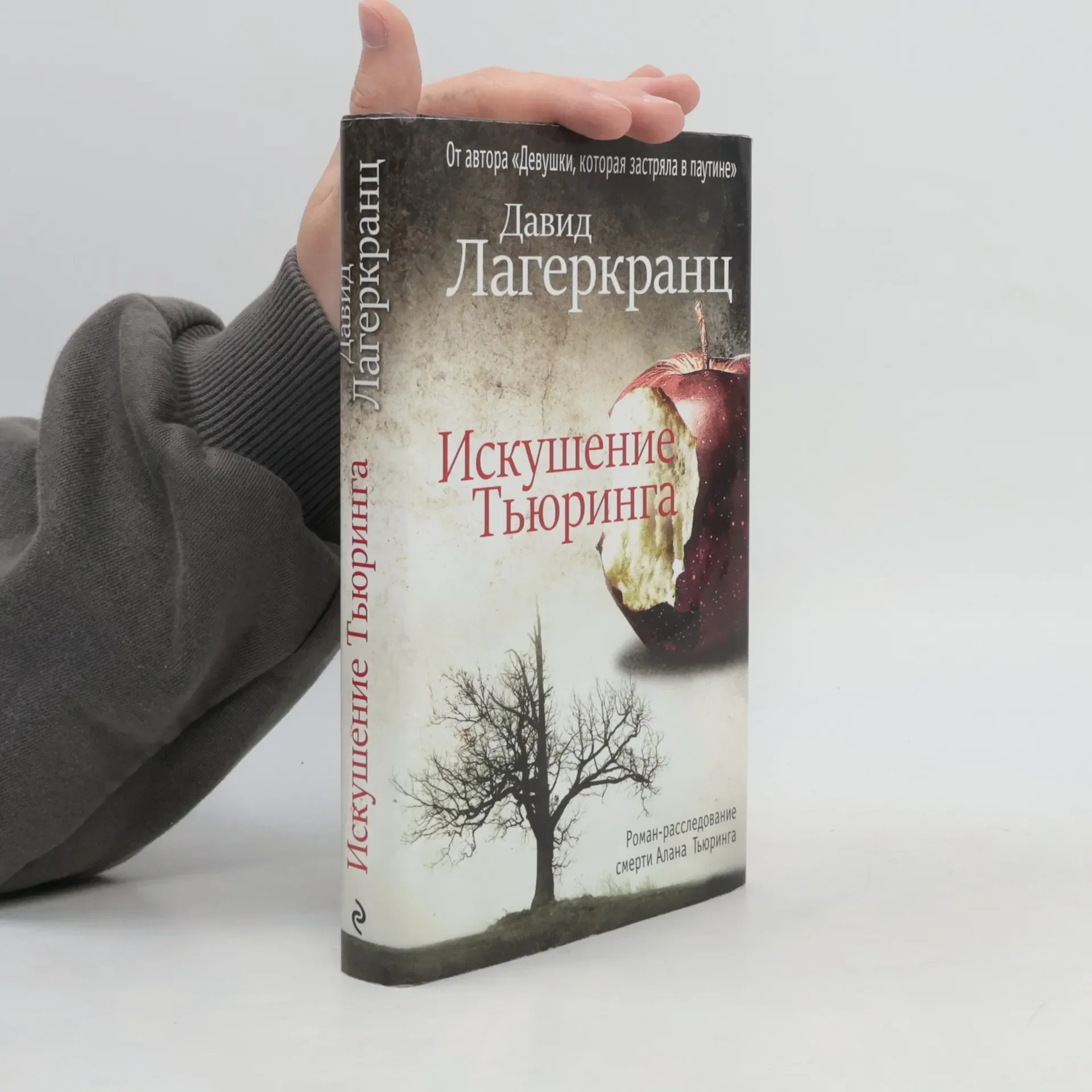 Обложка книги «Искушение Тьюринга»