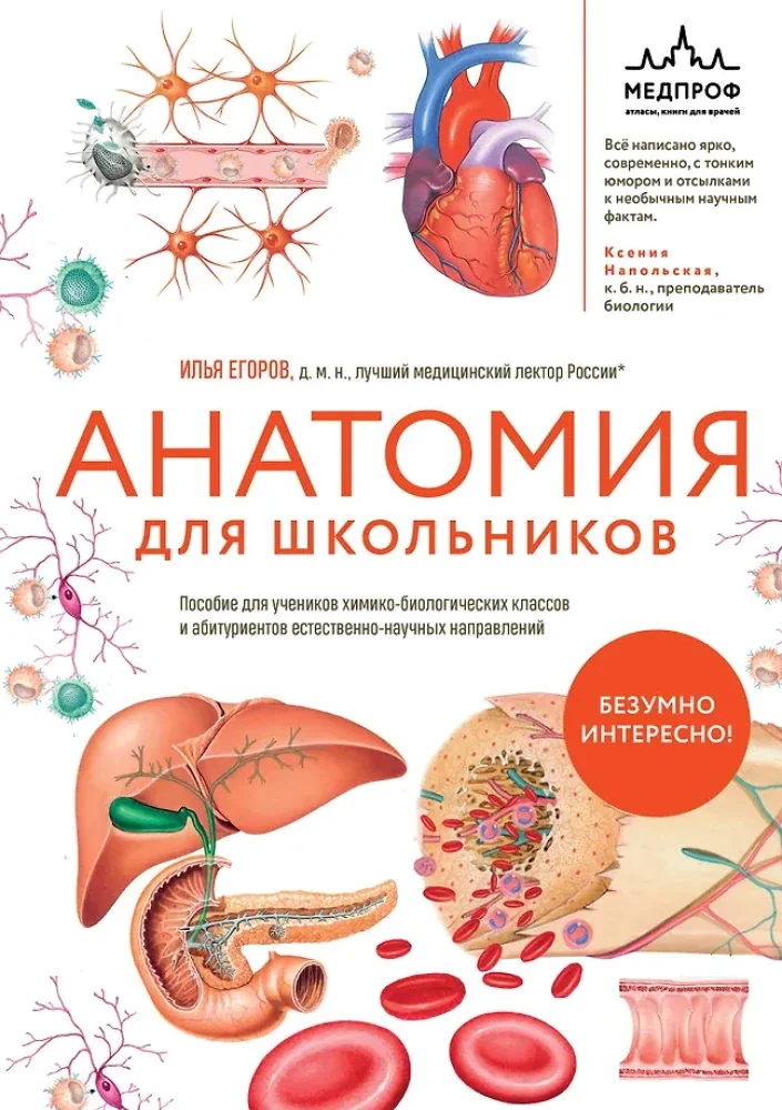 Обложка книги «Анатомия для школьников. Пособие для учеников химико-биологических классов и абитуриентов естественно-научных направлени»