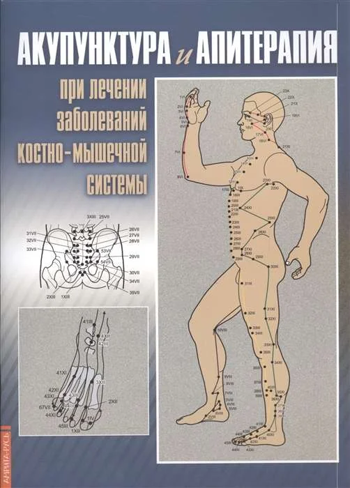 Обложка книги «Акупунктура и апитерапия при лечении заболеваний костно-мышечной системы. Практическое руководство»