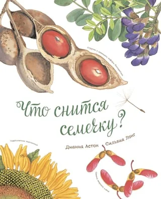 Обложка книги «Что снится семечку?»