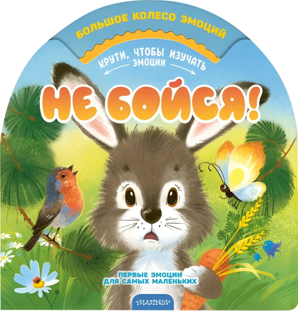 Обложка книги «Не бойся!»