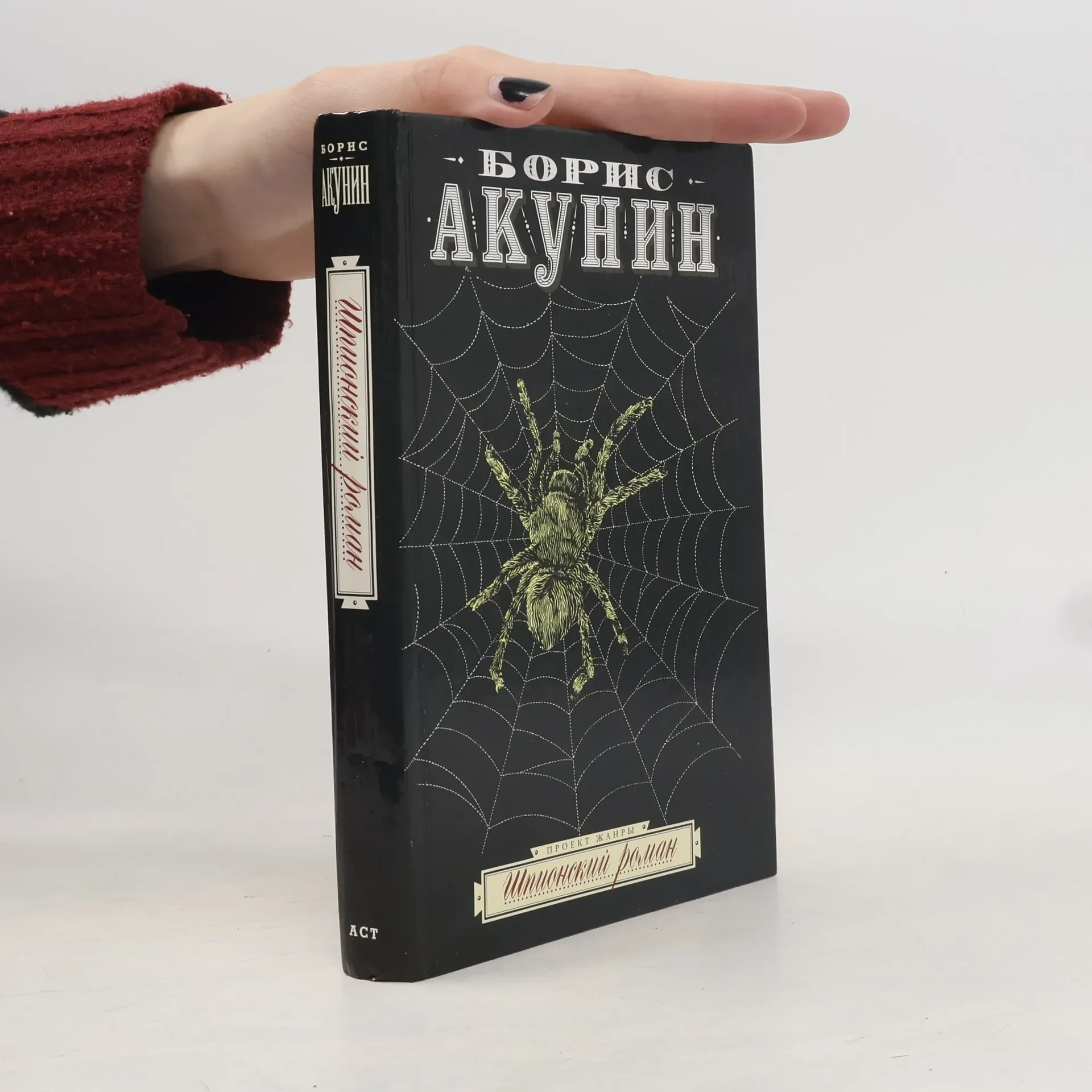Обложка книги «Шпионский роман»