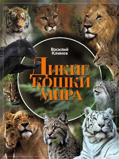 Обложка книги «Дикие кошки мира»