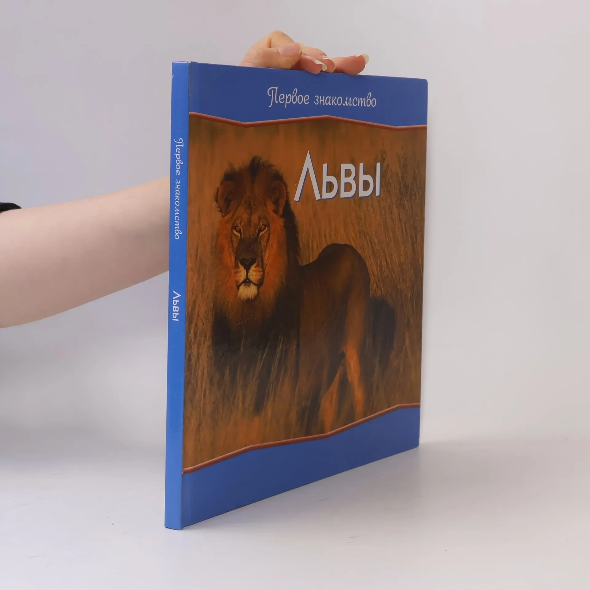 Обложка книги «Львы»