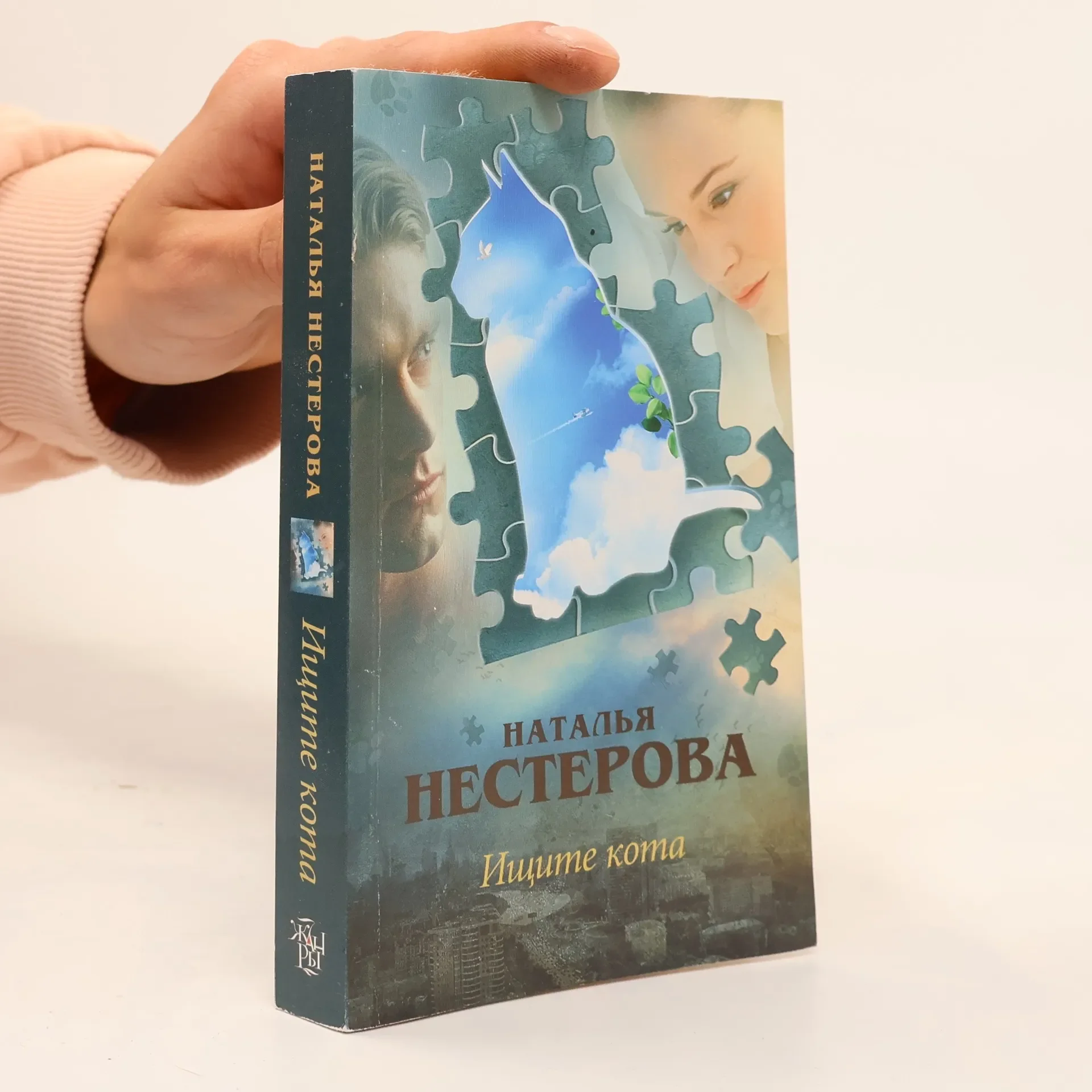 Обложка книги «Ищите кота»