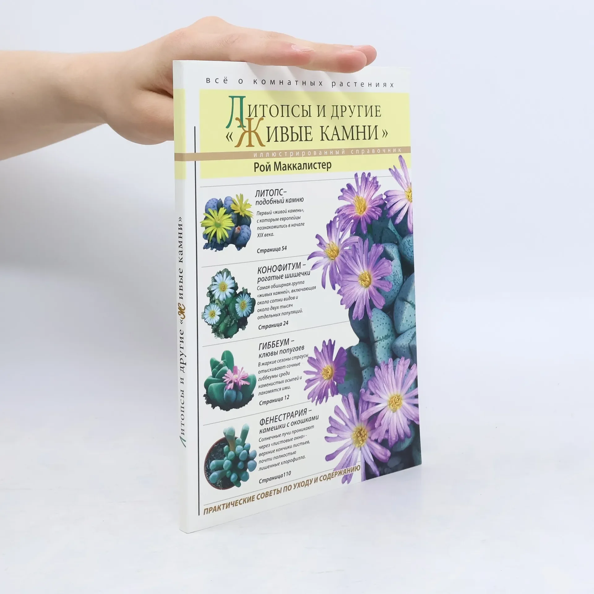 Обложка книги «Литопсы и другие «Живые камни»»