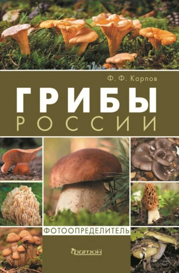 Обложка книги «Грибы России. Фотоопределитель»