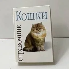 Обложка книги «Кошки»