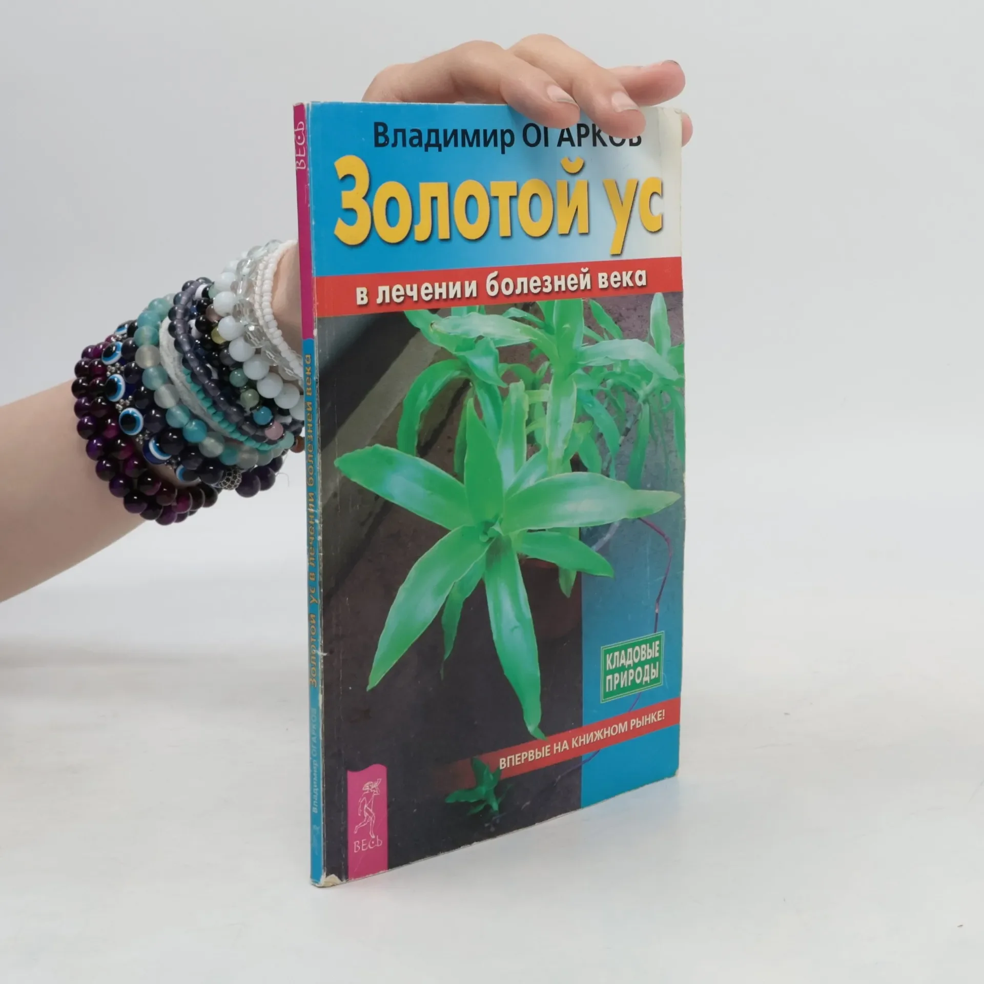 Обложка книги «Золотой ус в лечении болезней века»