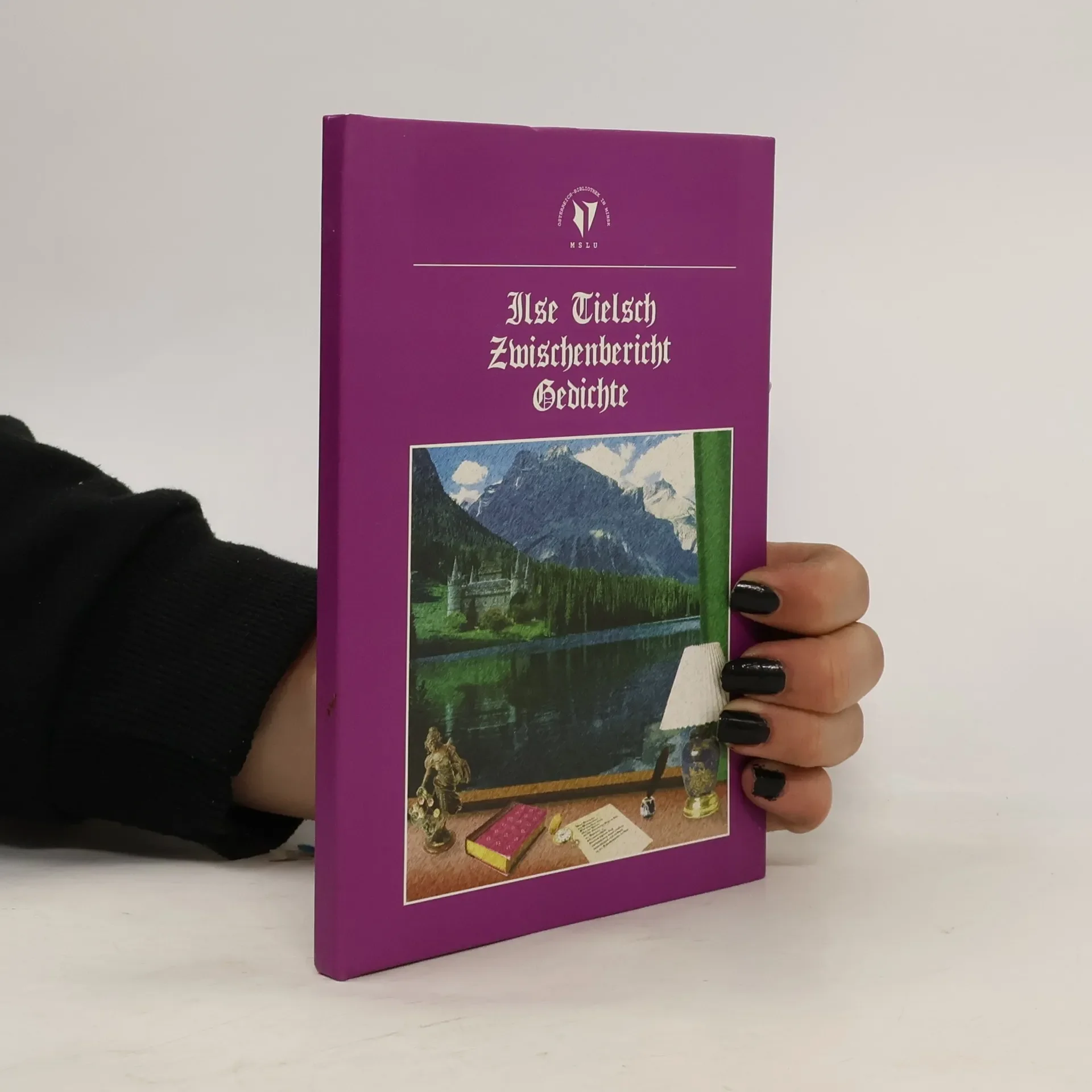 Обложка книги «Zwischenbericht»