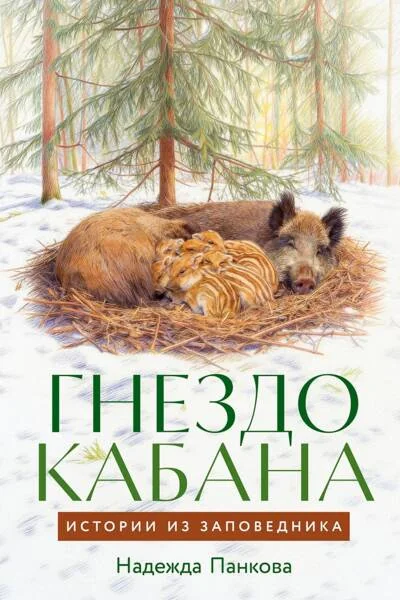 Обложка книги «Гнездо кабана: Истории из заповедника»
