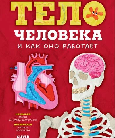 Обложка книги «Тело человека и как оно работает»