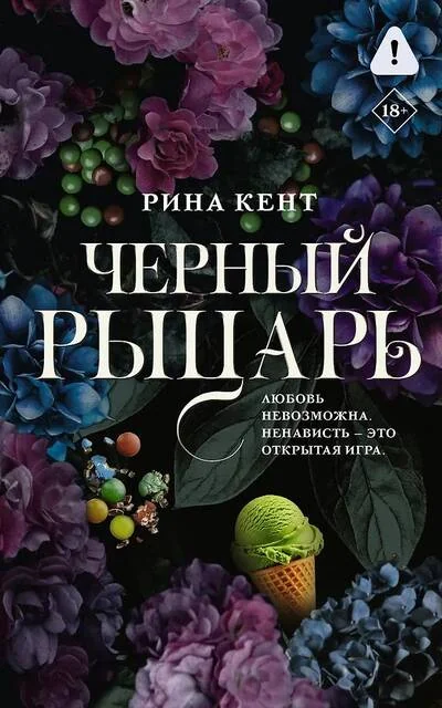 Обложка книги «Черный рыцарь»