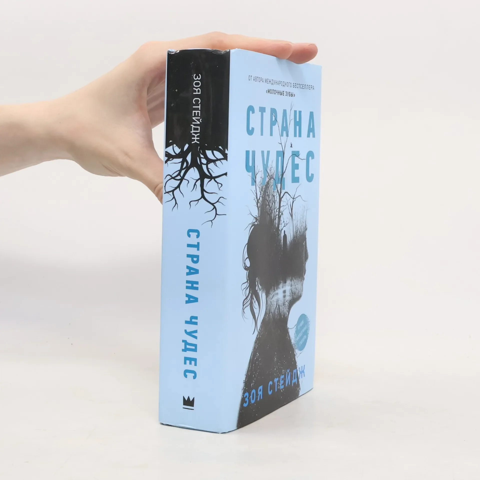 Обложка книги «Страна чудес»
