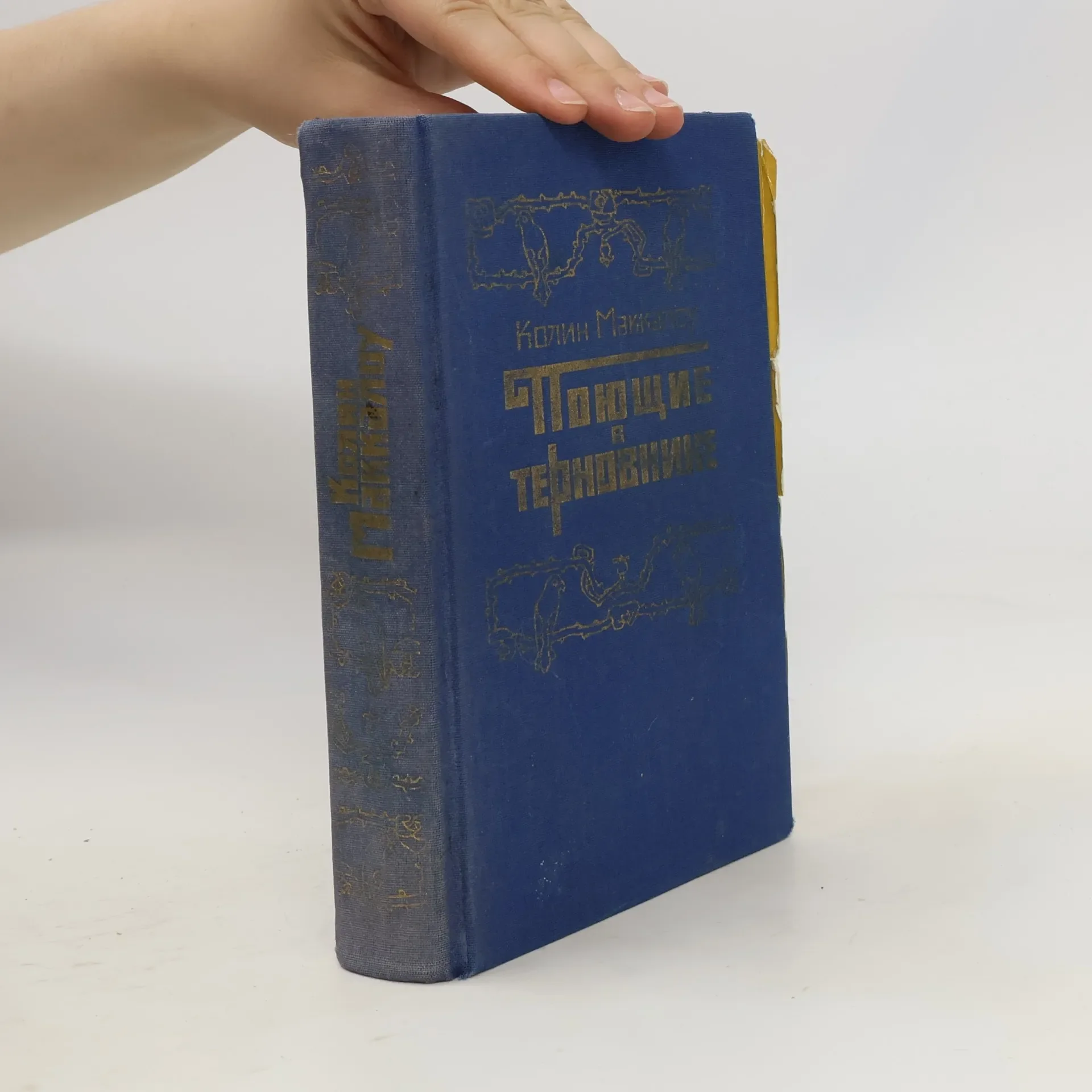 Обложка книги «Поющие в терновнике»